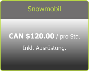 Snowmobil CAN $120.00 / pro Std. Inkl. Ausrüstung.
