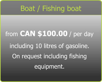 Boat / Fishing boat from CAN $100.00 / per day including 10 litres of gasoline. On request including fishing equipment.