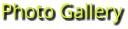 Photo Gallery